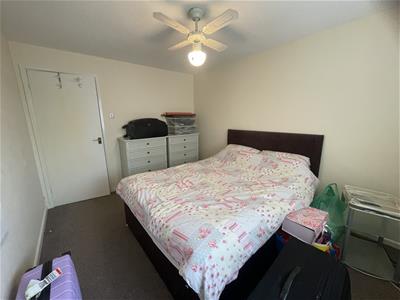 Picture 13